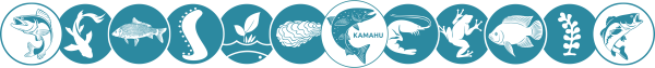 LOGICIEL D'AQUACULTURE